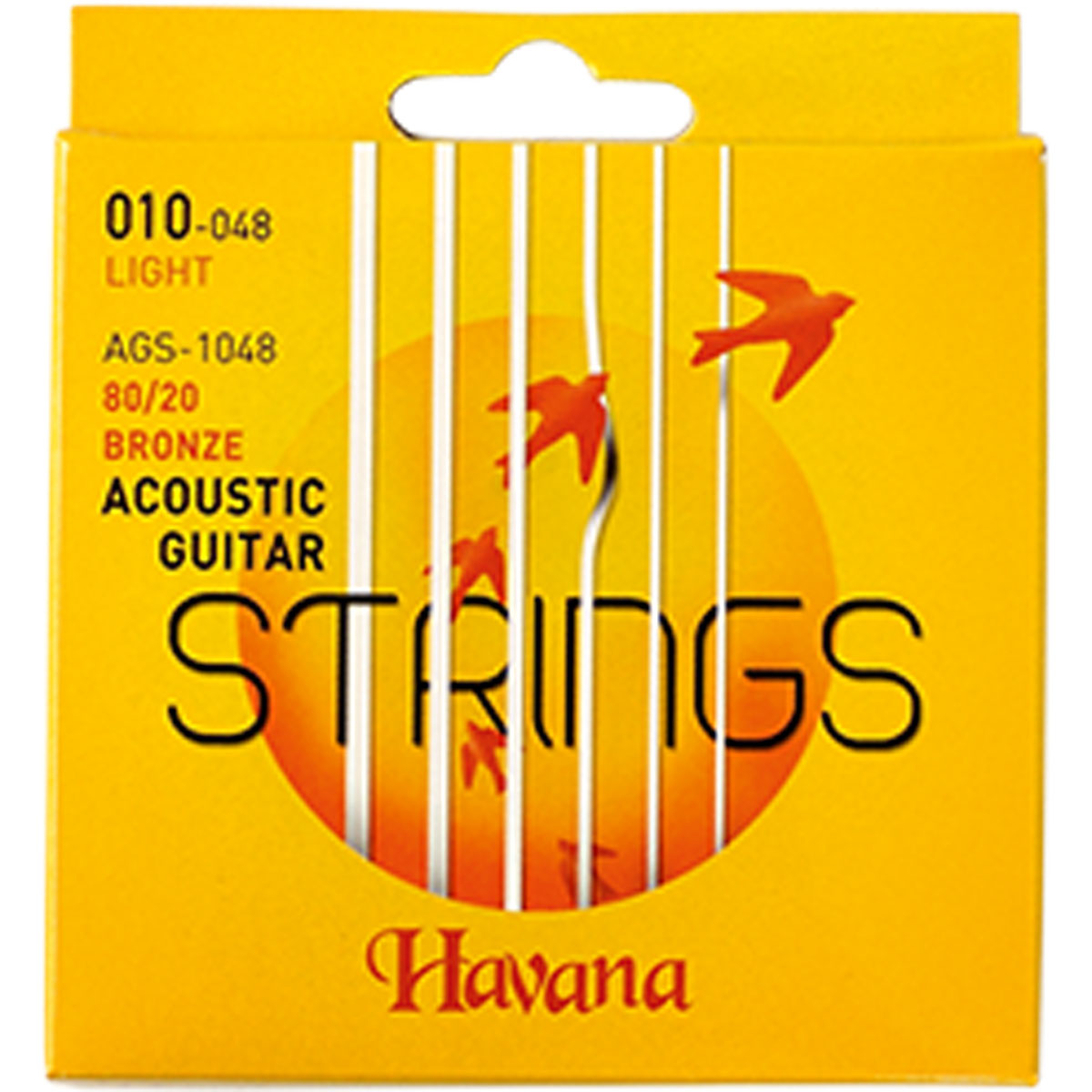 Havana AGS1048 Acoustic Guitar String 10 Guage